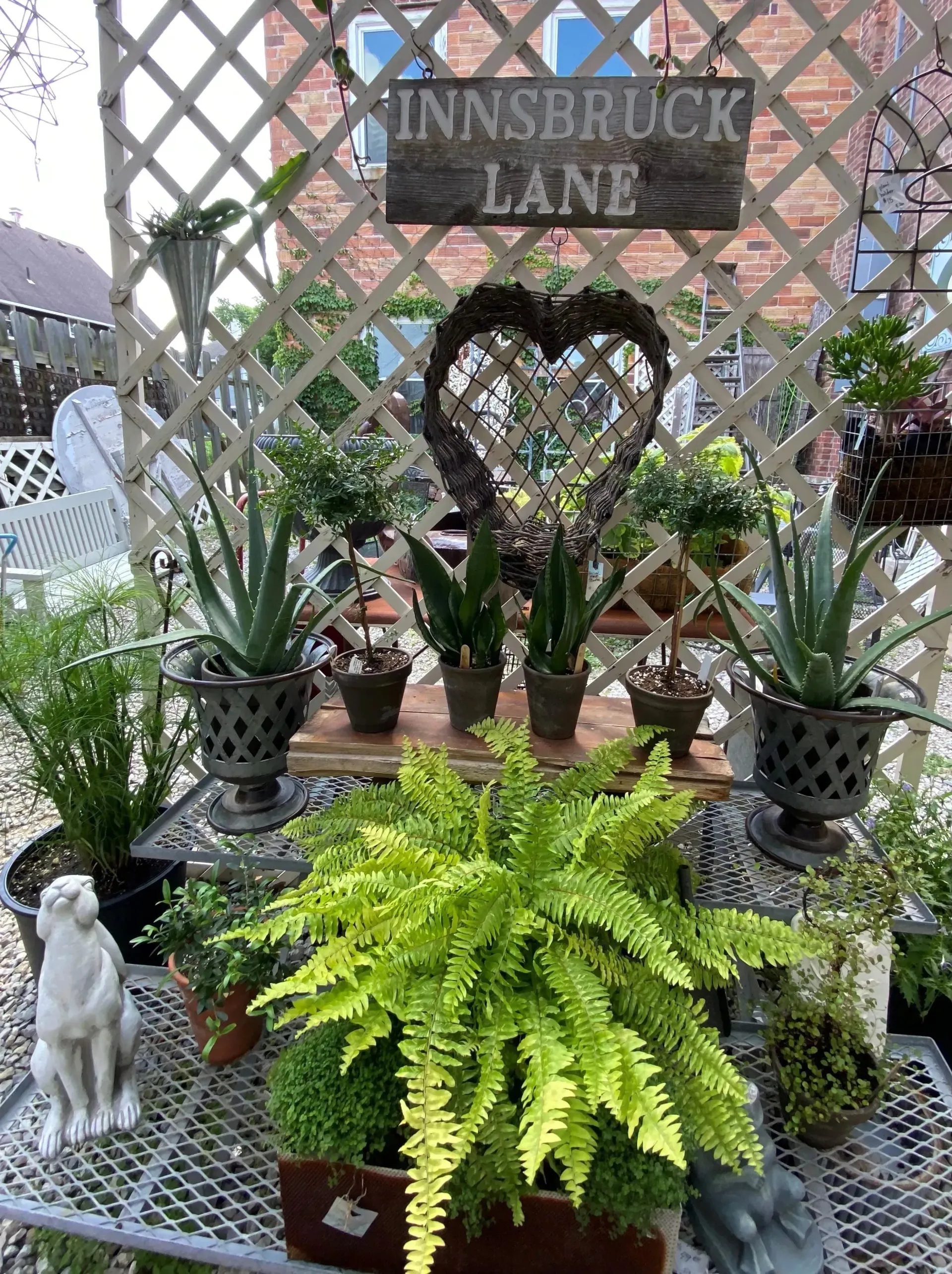 Potted plants on a lattice display with a “Innbruck Lane” sign above them