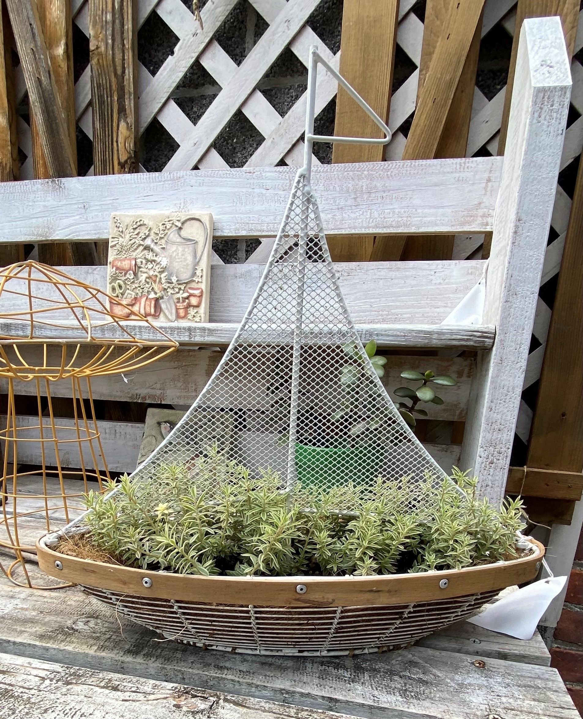 Hanging basket planter with green plants and a white mesh cover on a rustic bench outdoors