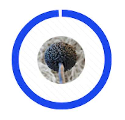 Blue circular progress ring around a small center photo of a dark spherical object against a white background