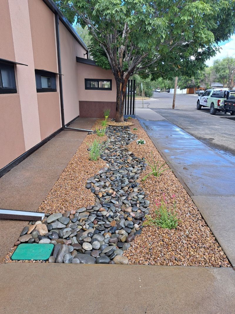 Dry riverbed landscaping with rocks, gravel, and plants beside a building and sidewalk.