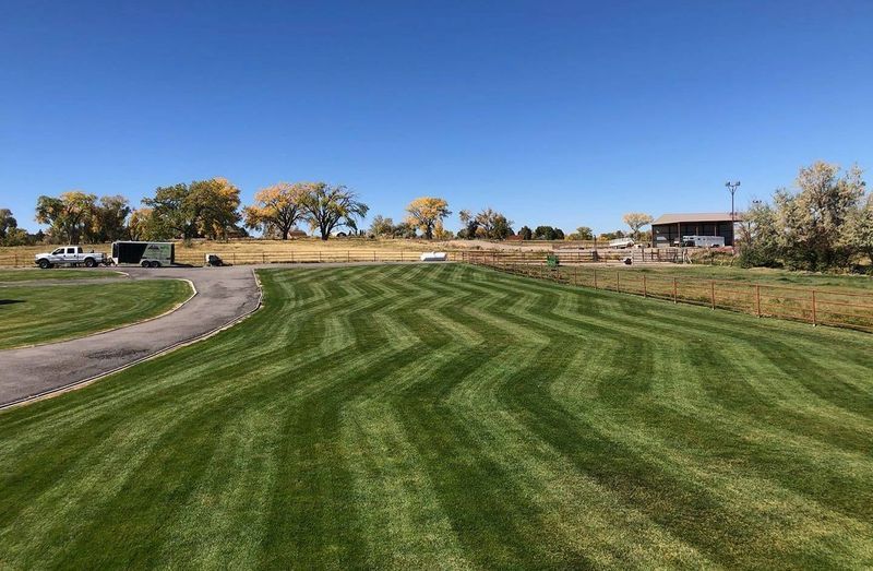 Striped green lawn beside a winding paved path under a clear blue sky, with trees and buildings in the distance