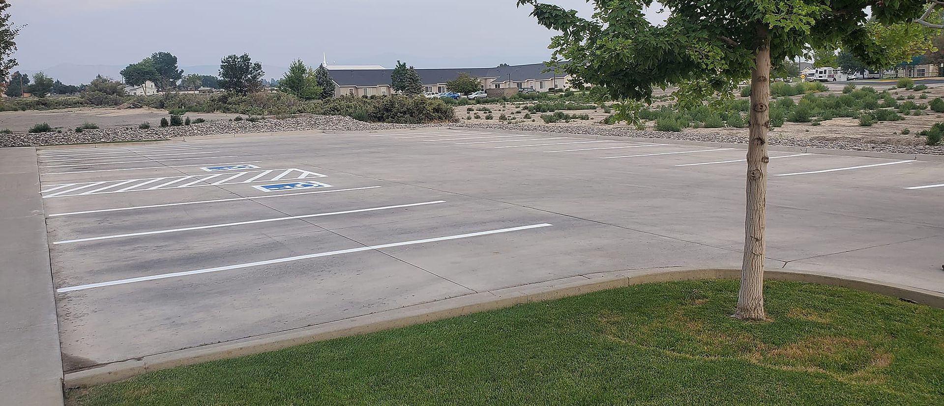 Empty parking lot with white lines and a tree.