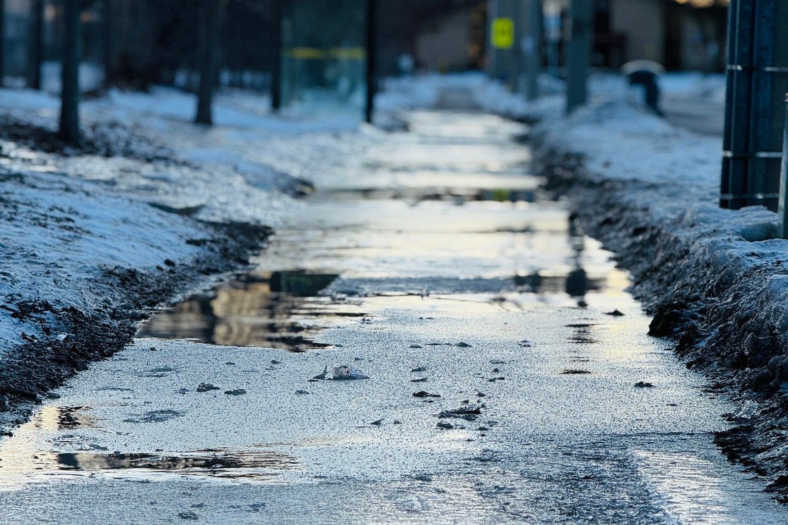 Glazed ice and meltwater on a cleared walkway between plowed snowbanks at dusk