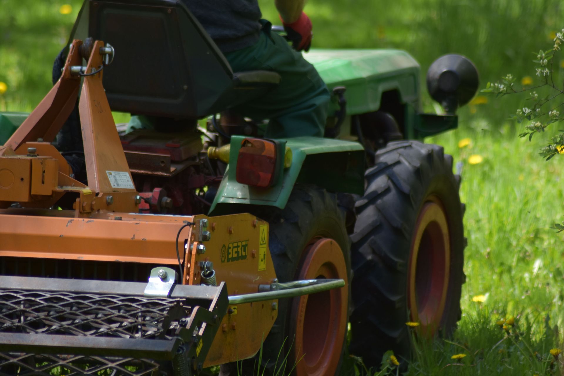 Core aerator pulling soil plugs from a residential lawn