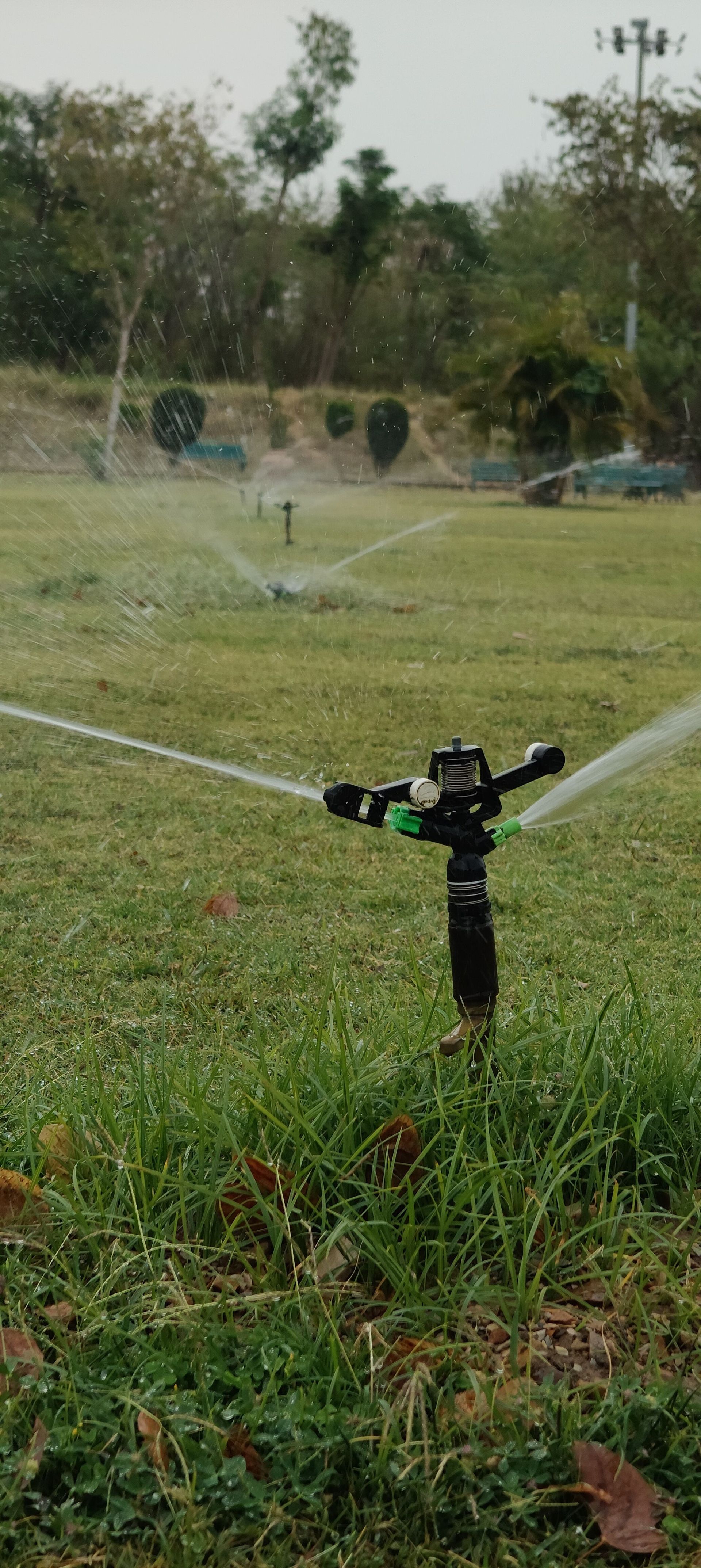 Sprinkler watering a grassy field with trees in the background
