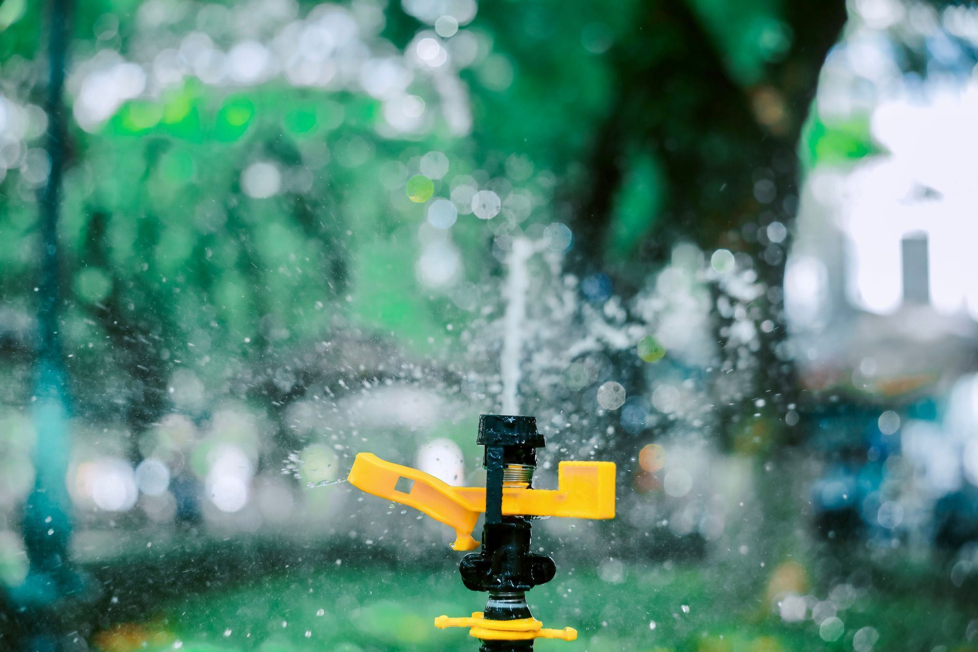 Sprinkler irrigation head watering a lawn for winter preparation
