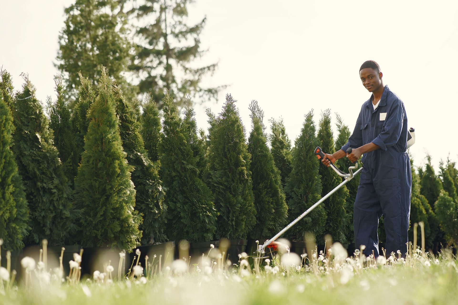 Worker in blue coveralls spraying water on a grassy lawn with trees in the background