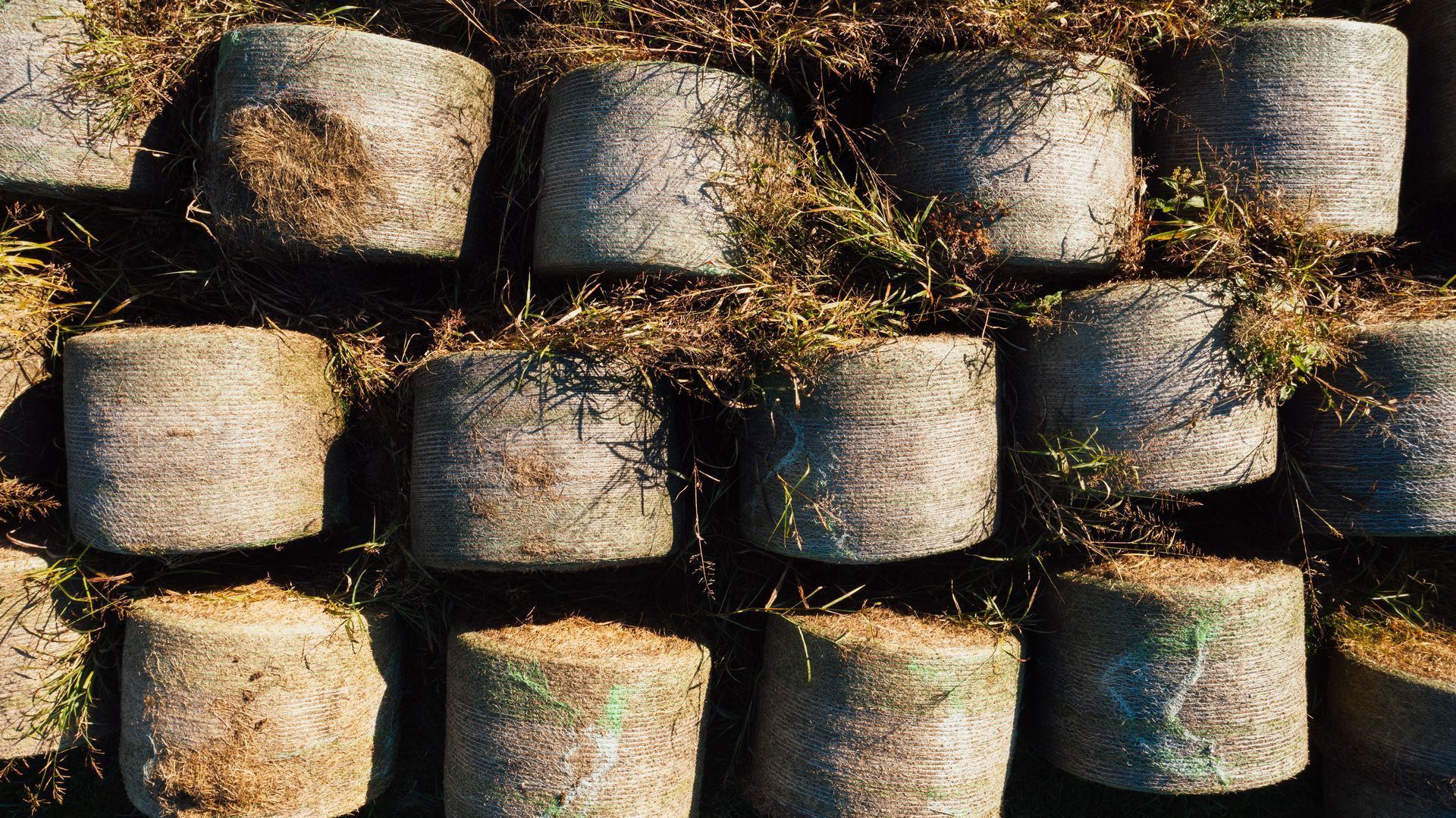 Stacked cylindrical hay bales in a field, lit by warm sunlight and casting shadows.