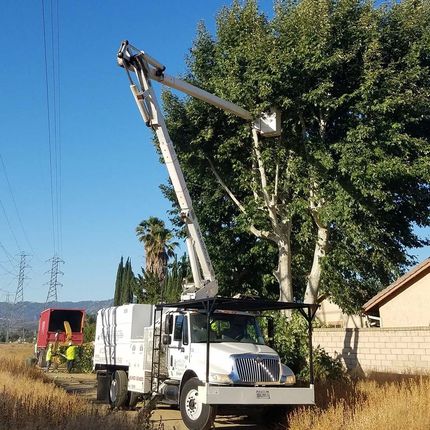Lift on the back of white truck — Chatsworth, CA — AC Horticultural Management, Inc. Lift on the back of white truck — Chatsworth, CA — AC Horticultural Management, Inc.