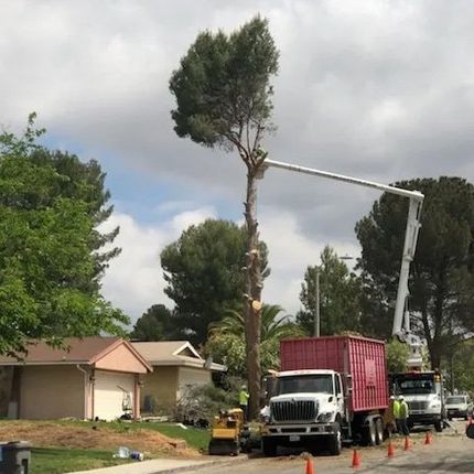 Two trucks parked in front of house — Chatsworth, CA — AC Horticultural Management, Inc. Two trucks parked in front of house — Chatsworth, CA — AC Horticultural Management, Inc.