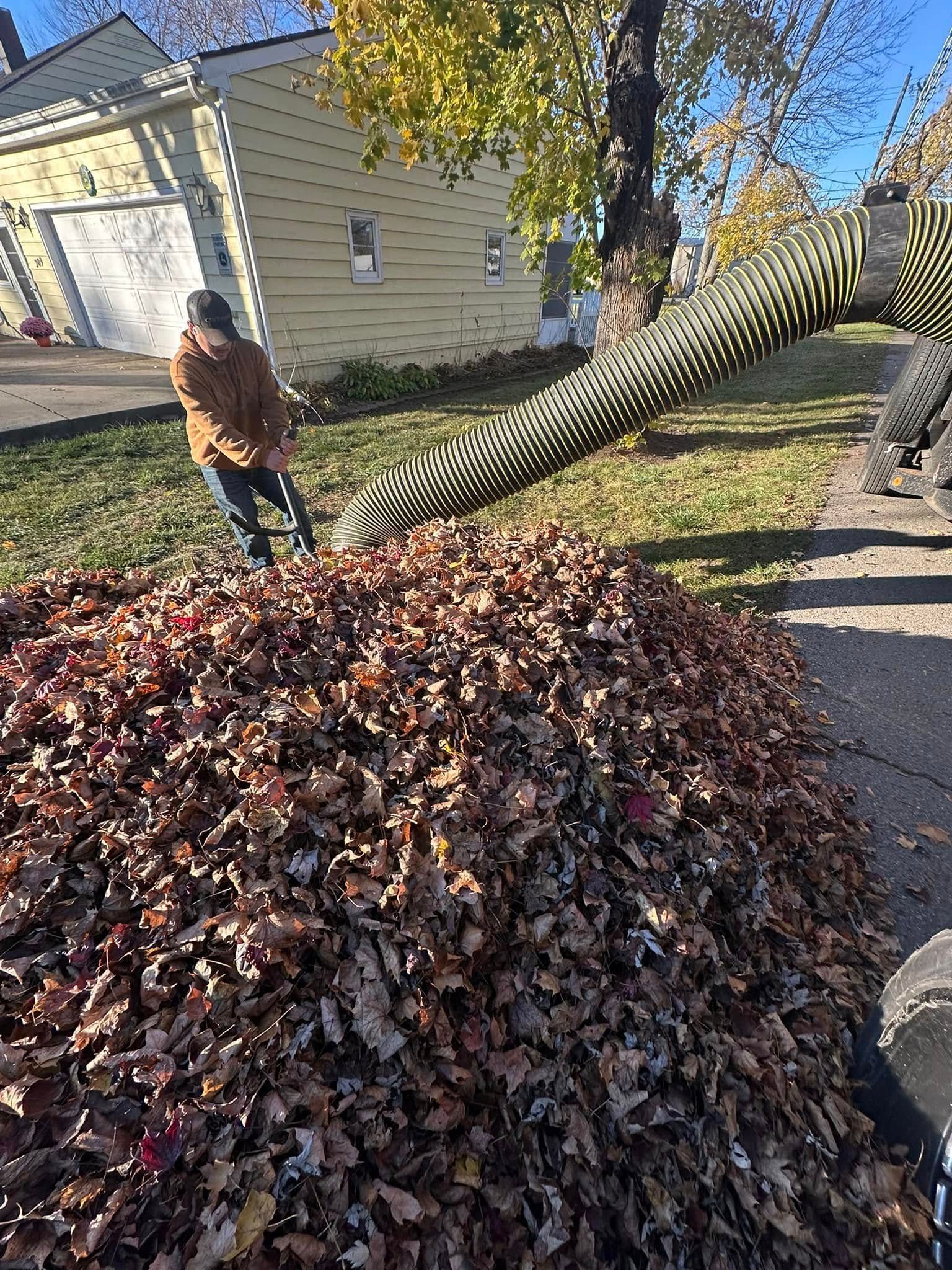 Person rakes leaves into large pile; tube leads to a leaf vacuum.