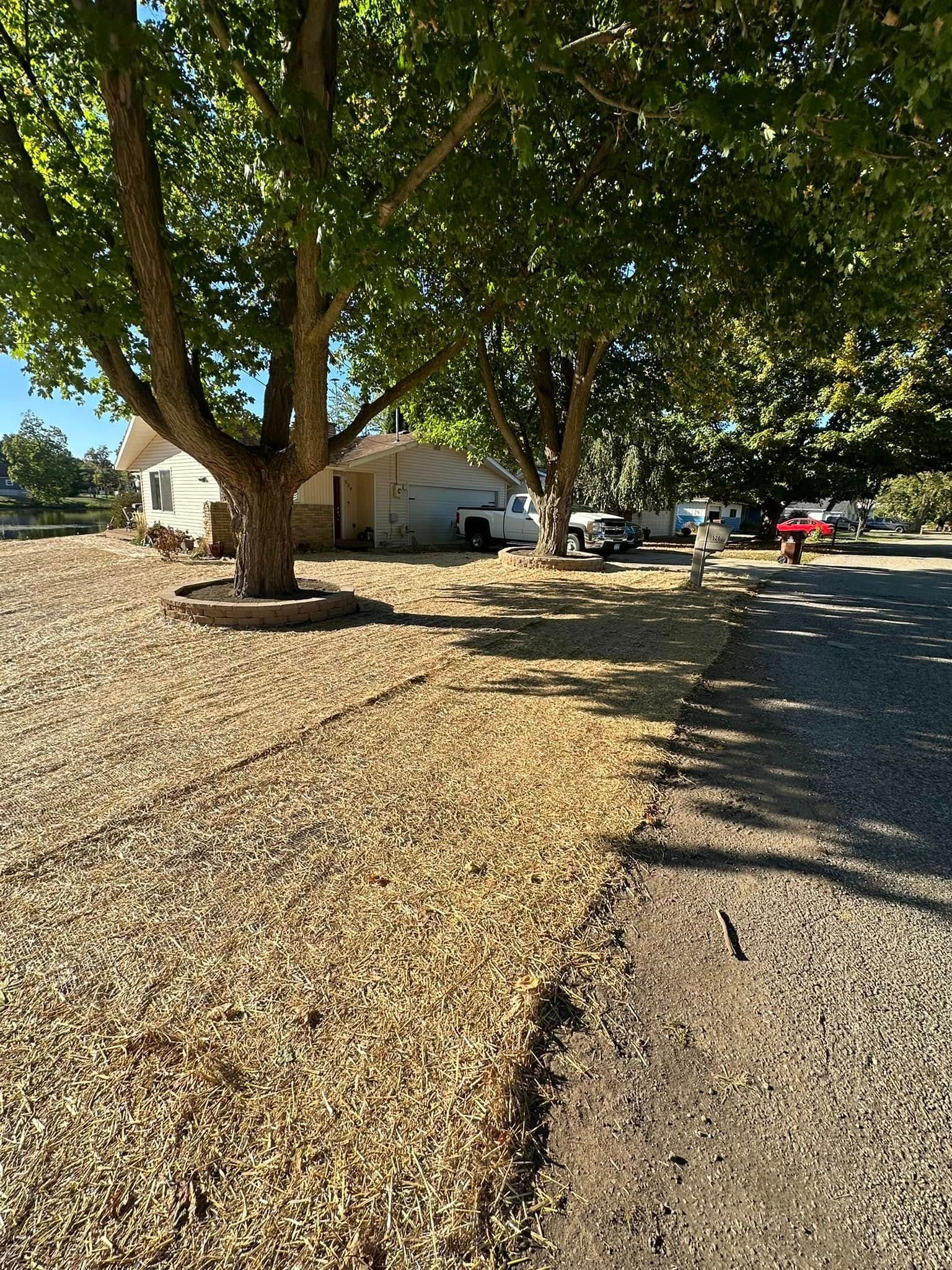 A house shaded by large trees, driveway with cars parked, gravel ground.