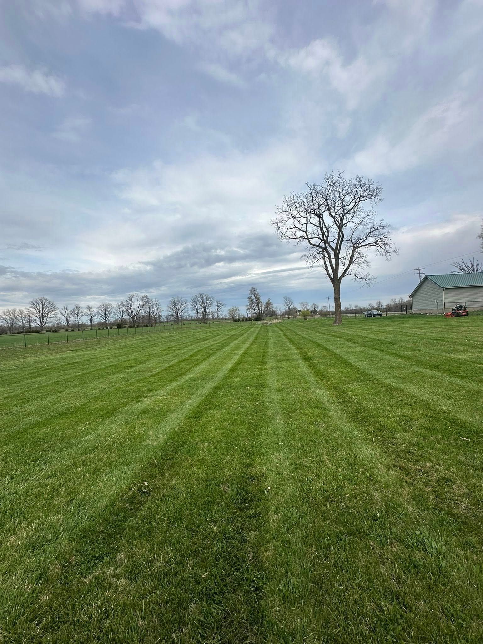 Lawn with fresh cut stripes, tree, cloudy sky. A building is visible in the distance.