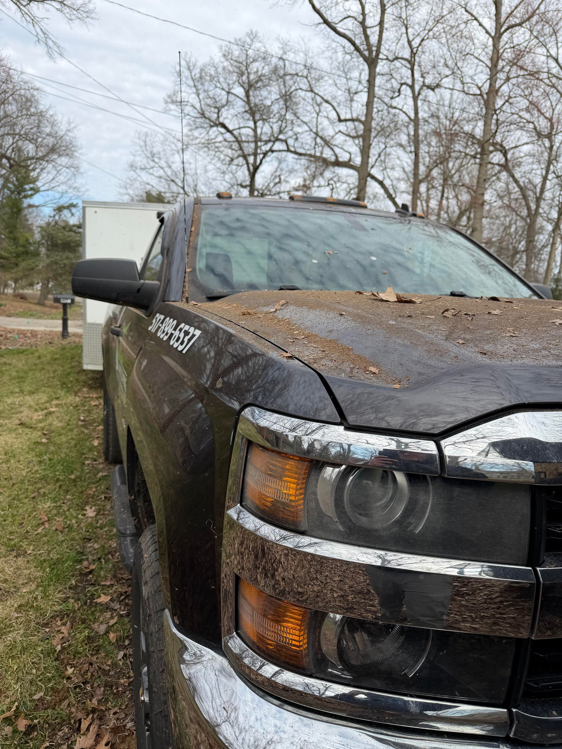 Dirty black pickup truck parked on grass by trees under a cloudy sky