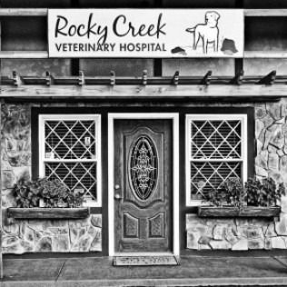 Rocky Creek Veterinary Hospital storefront with decorative windows, central door, and hanging sign.