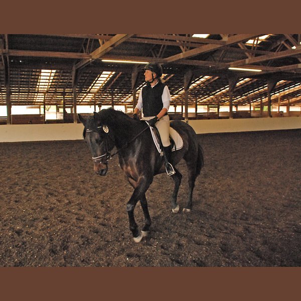 Lesson Program Philomath, OR Inavale Farm