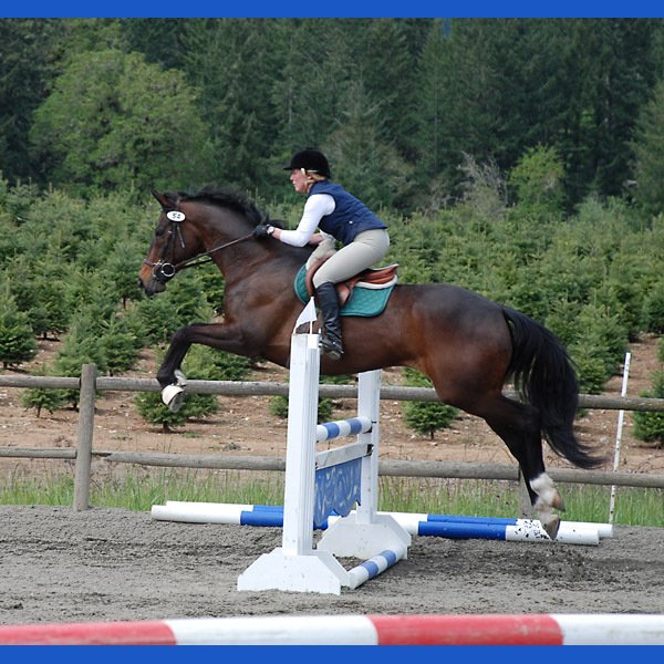 Lesson Program Philomath, OR Inavale Farm
