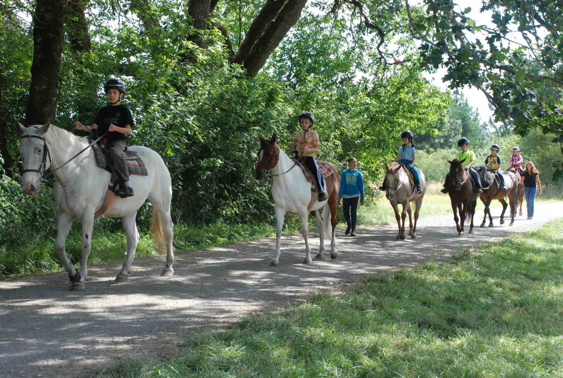 Lesson Program Philomath, OR Inavale Farm