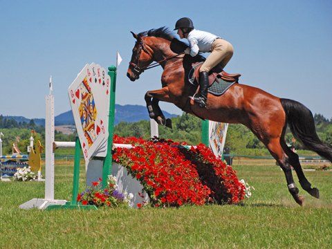 Riding Horse Event — Philomath, OR — Inavale Farm - Stables