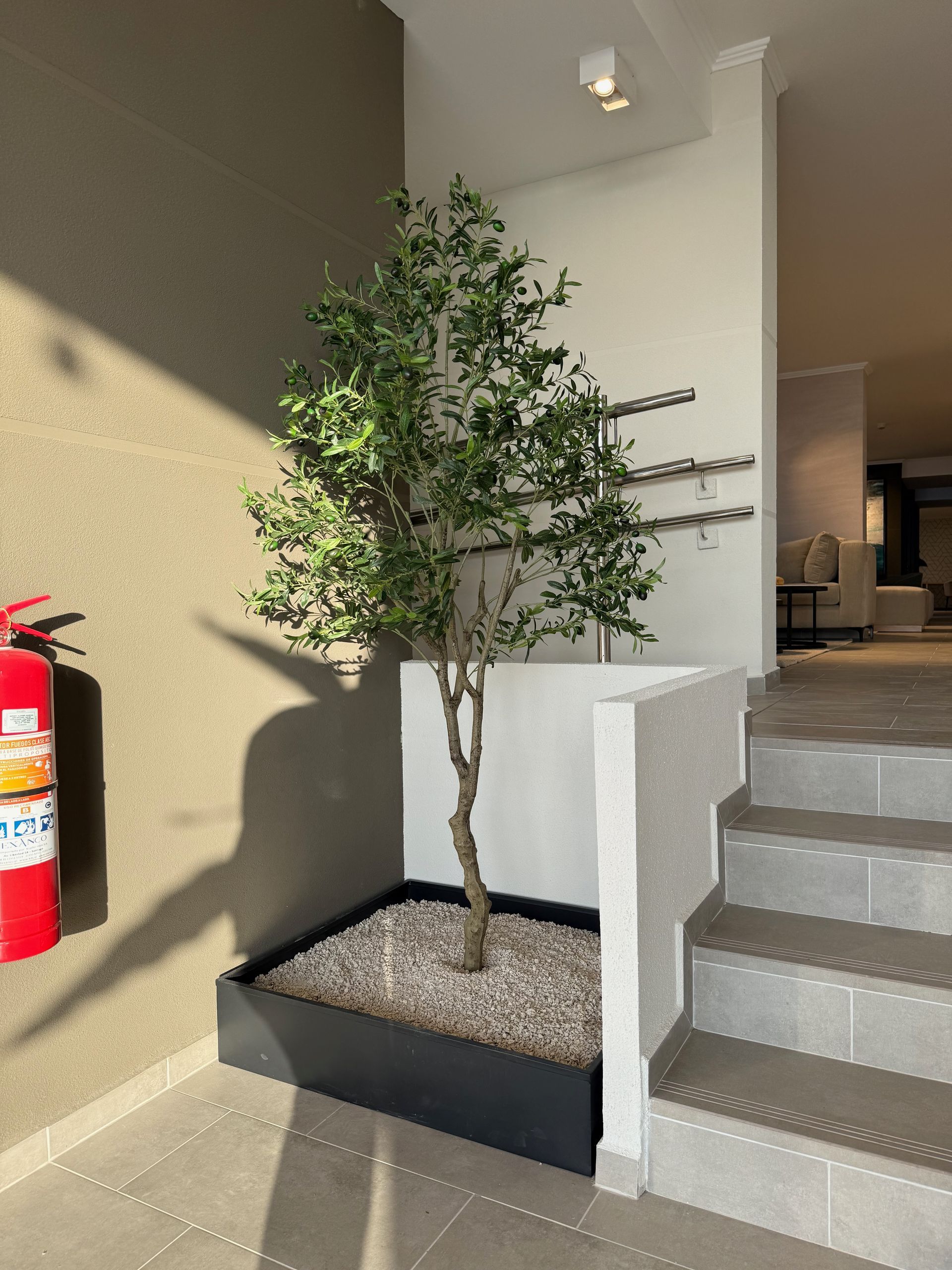 Árbol en maceta junto a las escaleras en un pasillo interior soleado con un extintor rojo en la pared.