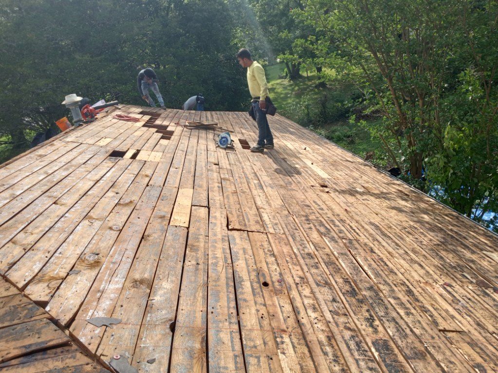 Workers on a wooden roof under construction, with trees surrounding the building site.