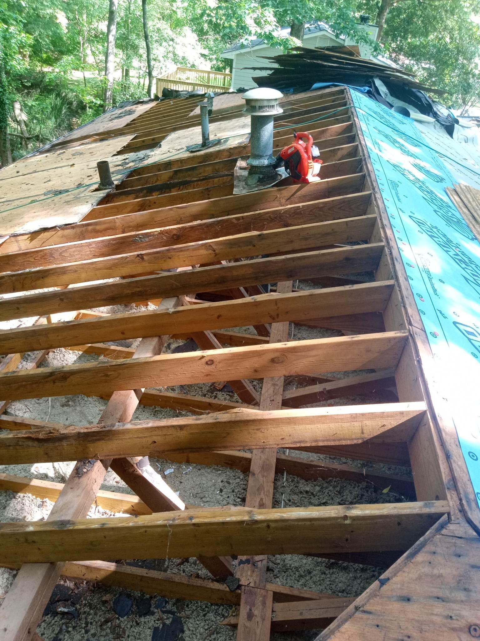 Wooden roof framing under construction with blue tarp, seen from below in a wooded area.