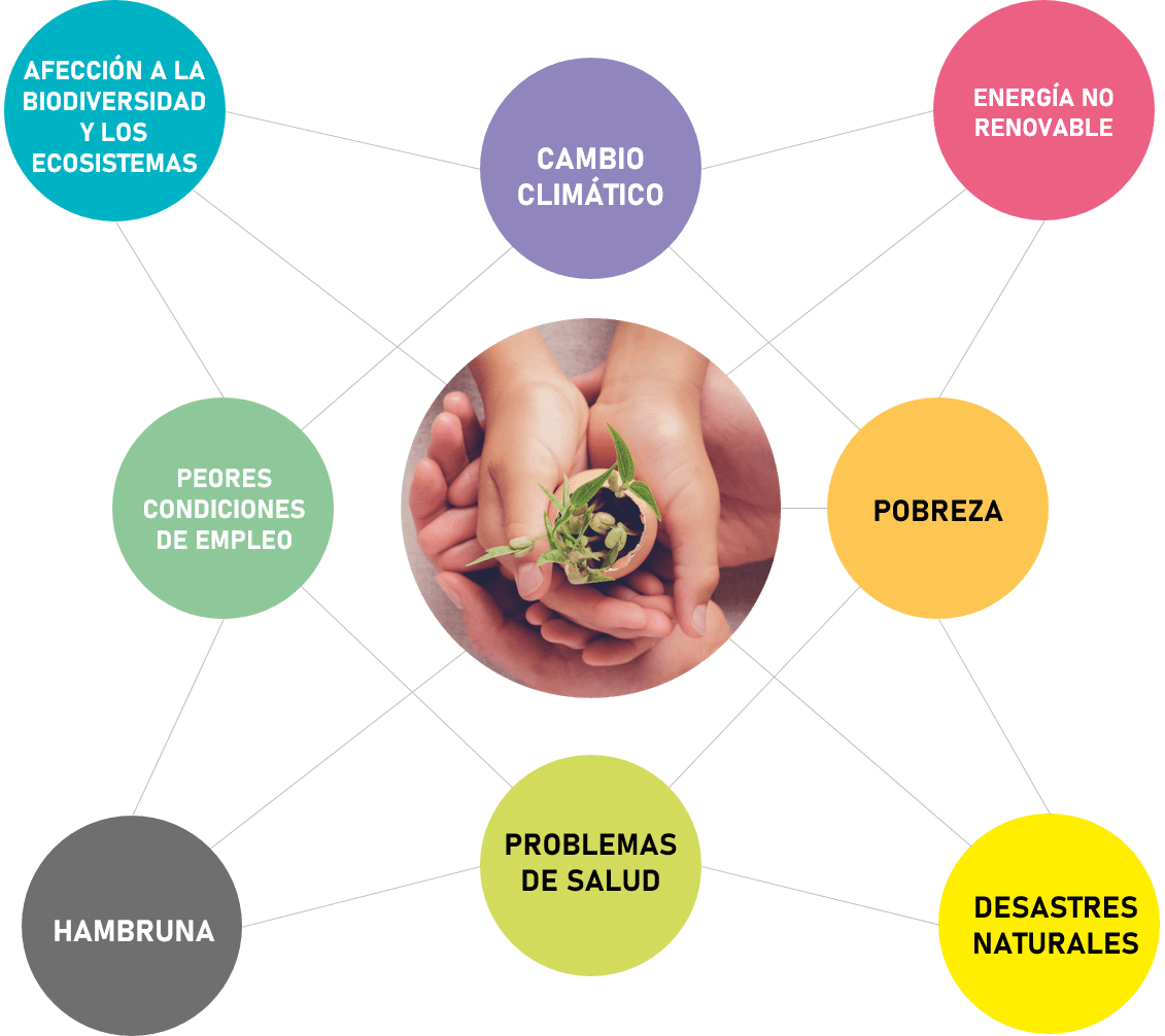 Un diagrama muestra a una persona sosteniendo una planta en sus manos.