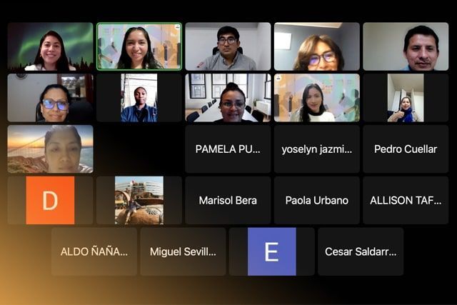 Un grupo de personas están en una videollamada 
