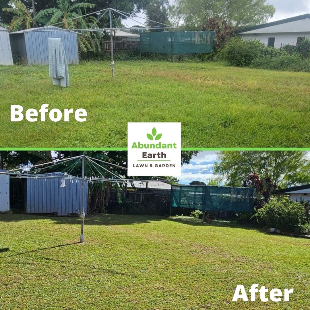 Before-and-after lawn care: overgrown yard trimmed to short, green grass beside a shed and fence.