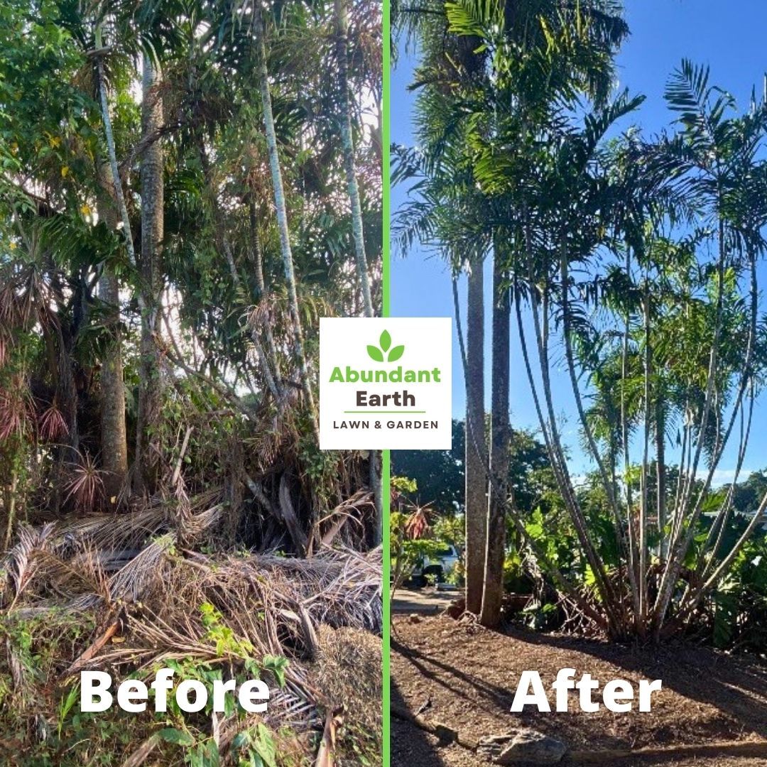 Before-and-after of a forest clearing: dense overgrowth on the left, cleared ground with trees on the right.