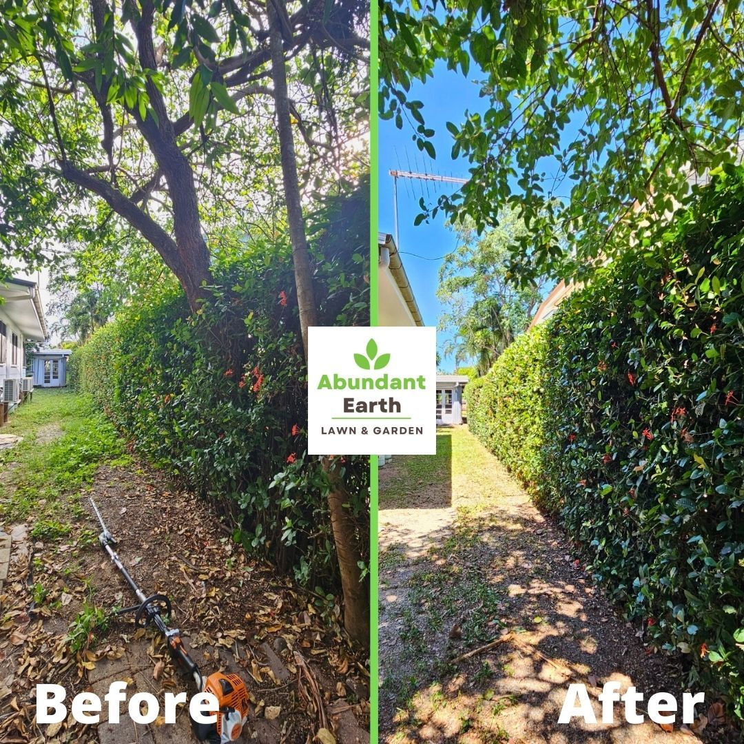 Before-and-after of a cleared garden path beside a hedge and tree, with a brighter blue sky in the after view.