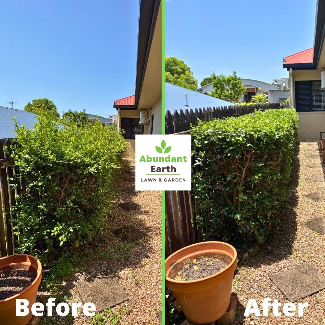 Side-by-side before and after of a trimmed hedge and cleared garden path beside a house.