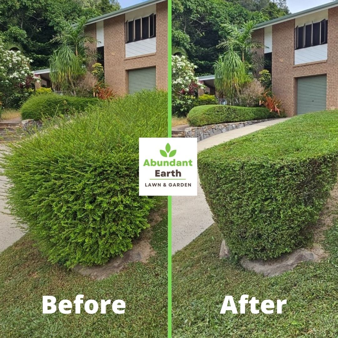 Before-and-after view of a trimmed hedge in front of a brick house and driveway, showing landscaping improvement.