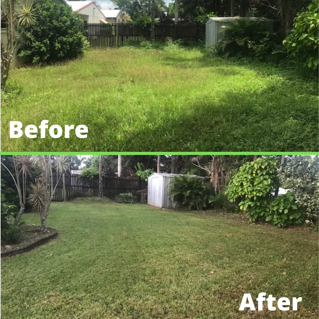 Backyard lawn before and after mowing, with grass shorter and neater after.