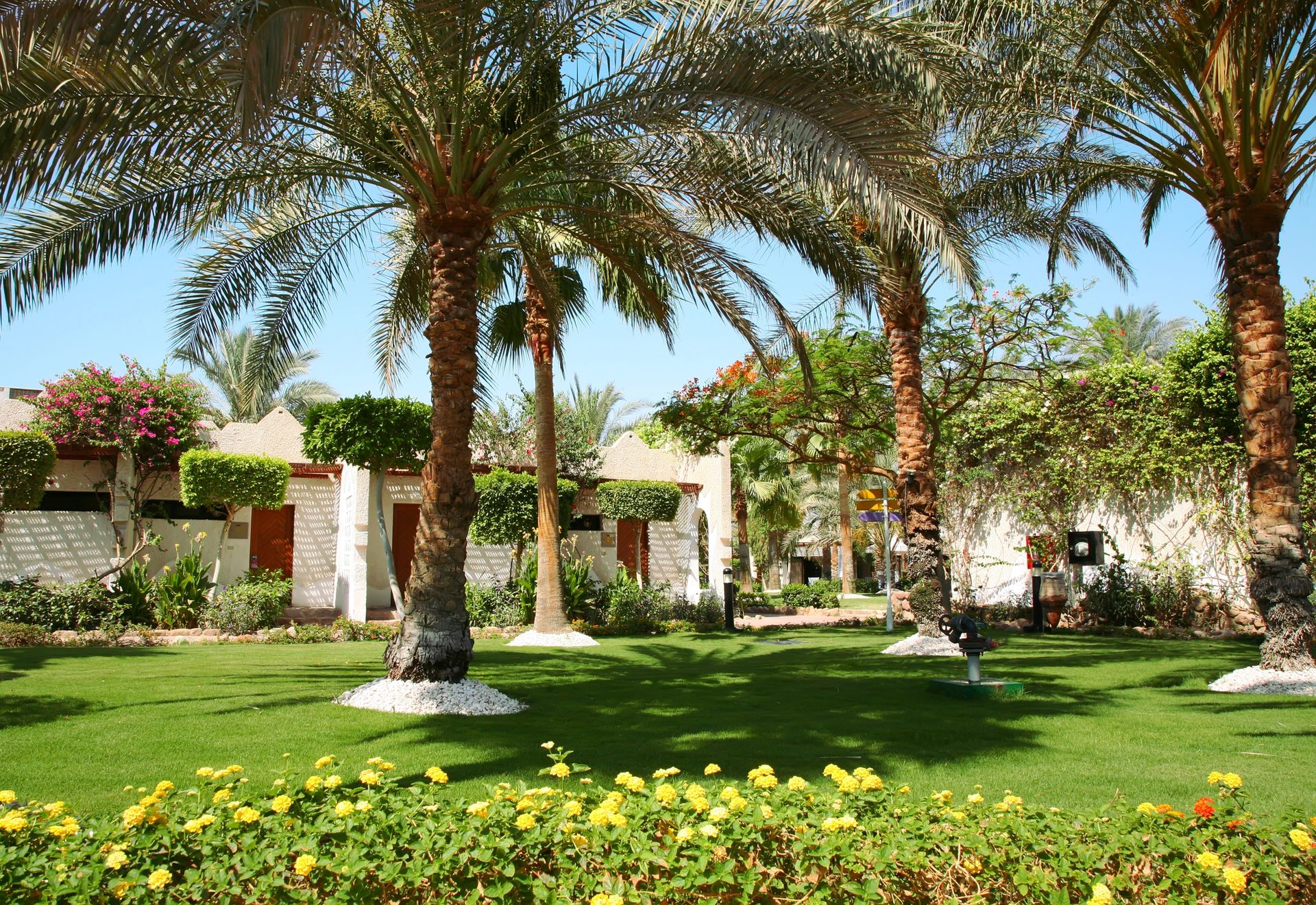 Palm trees and a green garden with white buildings under a bright blue sky