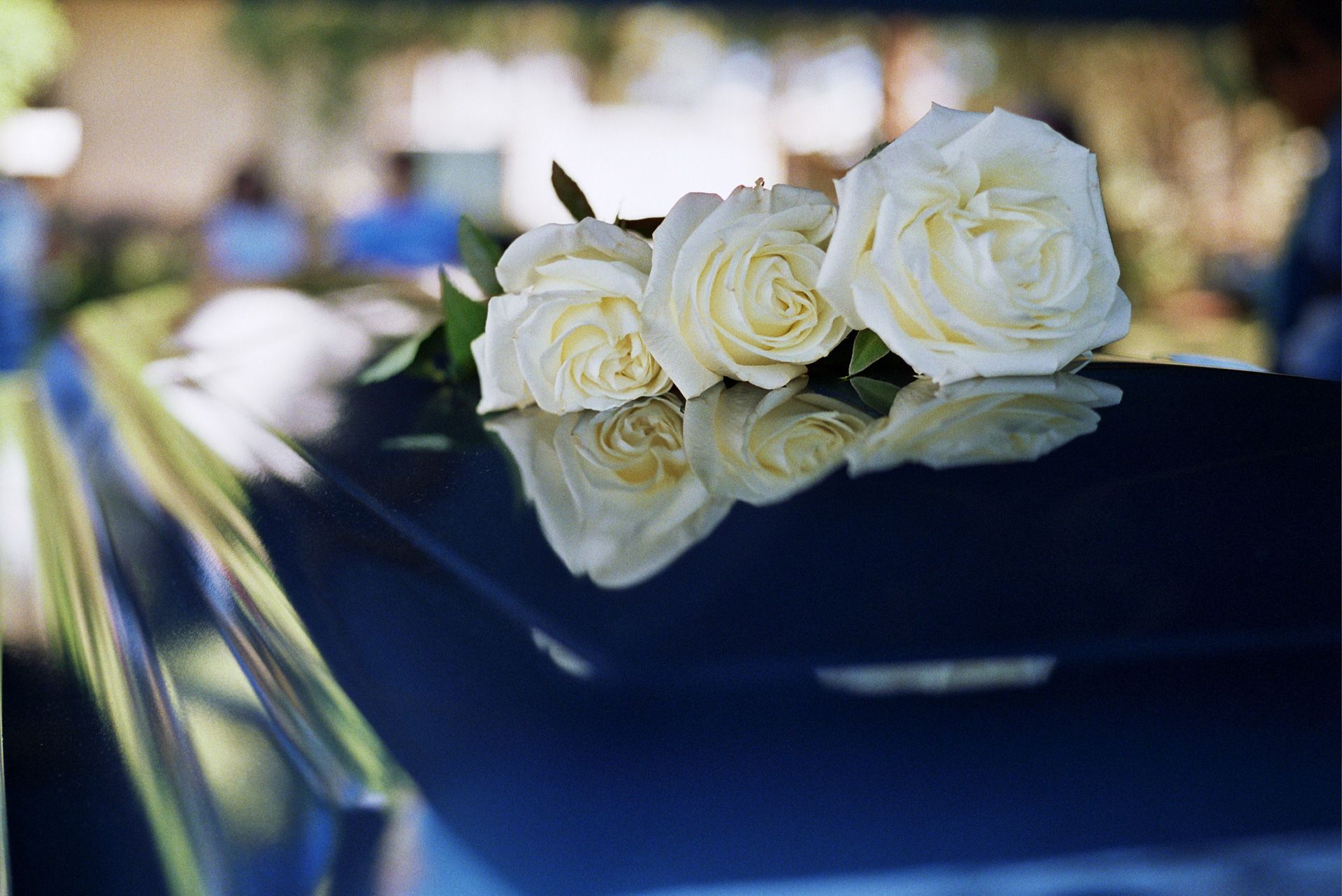 Three White Roses on Blue Coffin — Griffith, NSW — Griffith & District Funerals