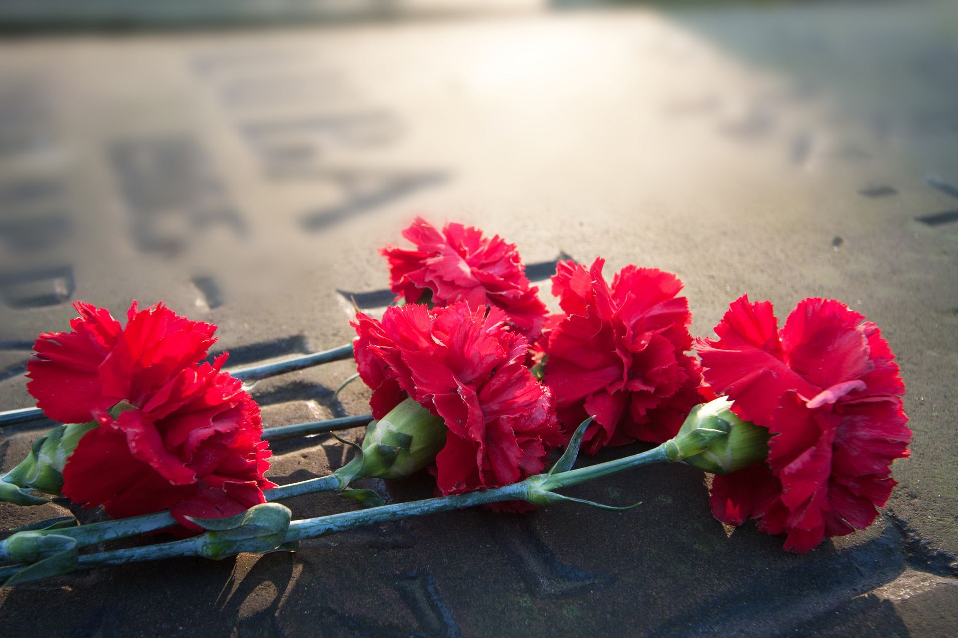 Pre-Paid Funerals — Griffith, NSW — Griffith & District Funerals
