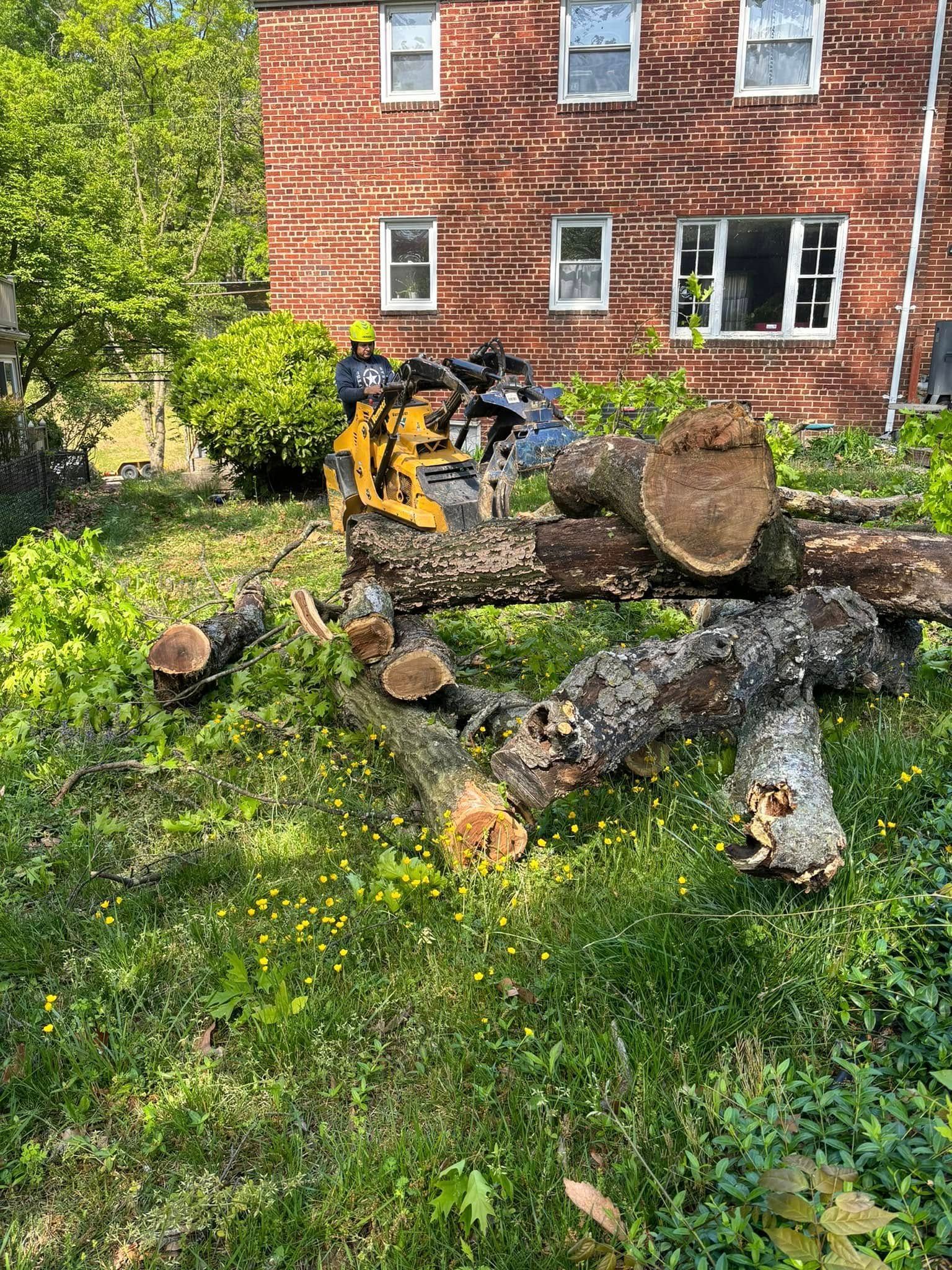 Yellow excavator beside stacked logs in a grassy yard near a brick house