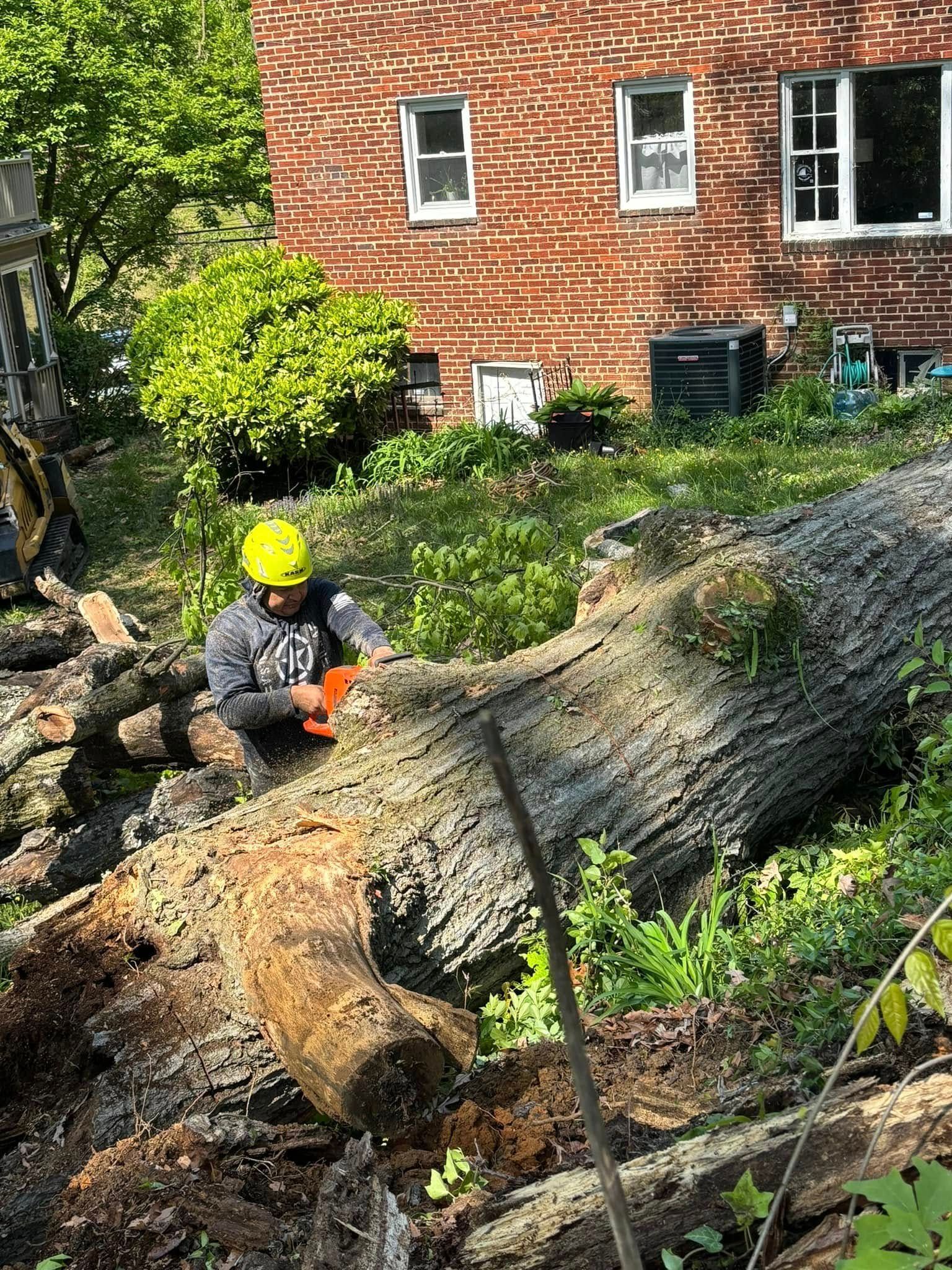 Worker in yellow hard hat cutting a fallen tree trunk with a chainsaw beside a red brick house