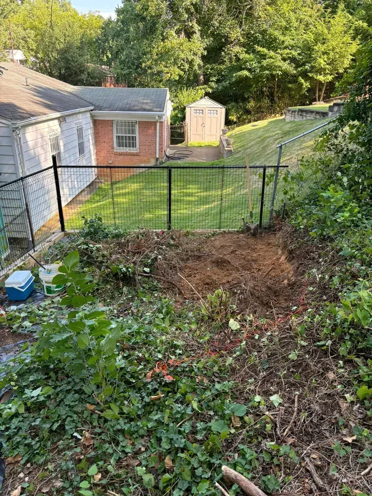 Backyard with a fenced slope, brick shed, small shed, and wooded hillside