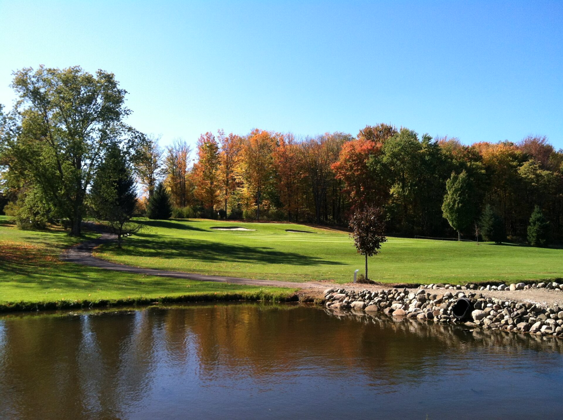 golfing