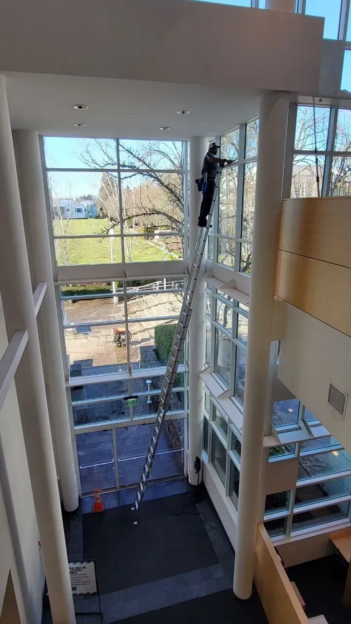 Person cleaning tall windows inside a building, on a long ladder.