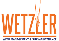 Wetzler: Weed Spraying in Rockhampton Wetzler: Weed Spraying in Rockhampton