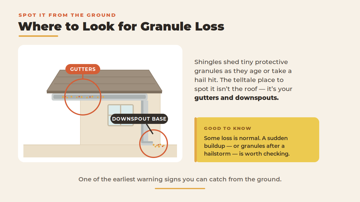 Infographic showing where to look for roof granule loss — collecting in the gutters and at the downspout base, an early sign of shingle wear.