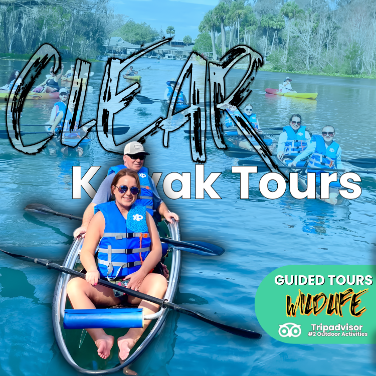 Clear kayak tour ad: People in clear kayaks on water.