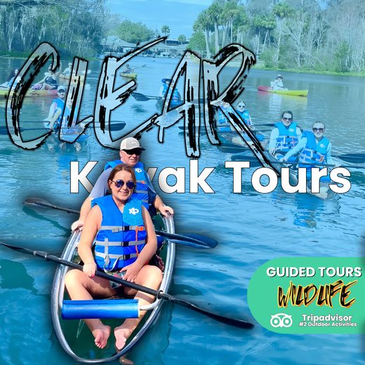 Clear kayak tour ad: People in clear kayaks on water. 