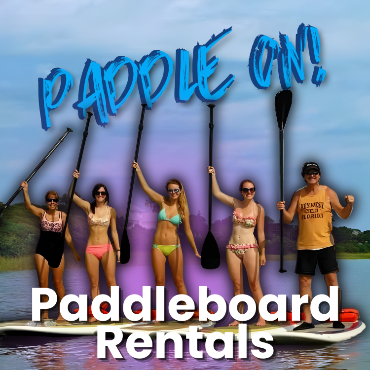 Group of people paddleboarding, holding paddles, water and blue sky backdrop,