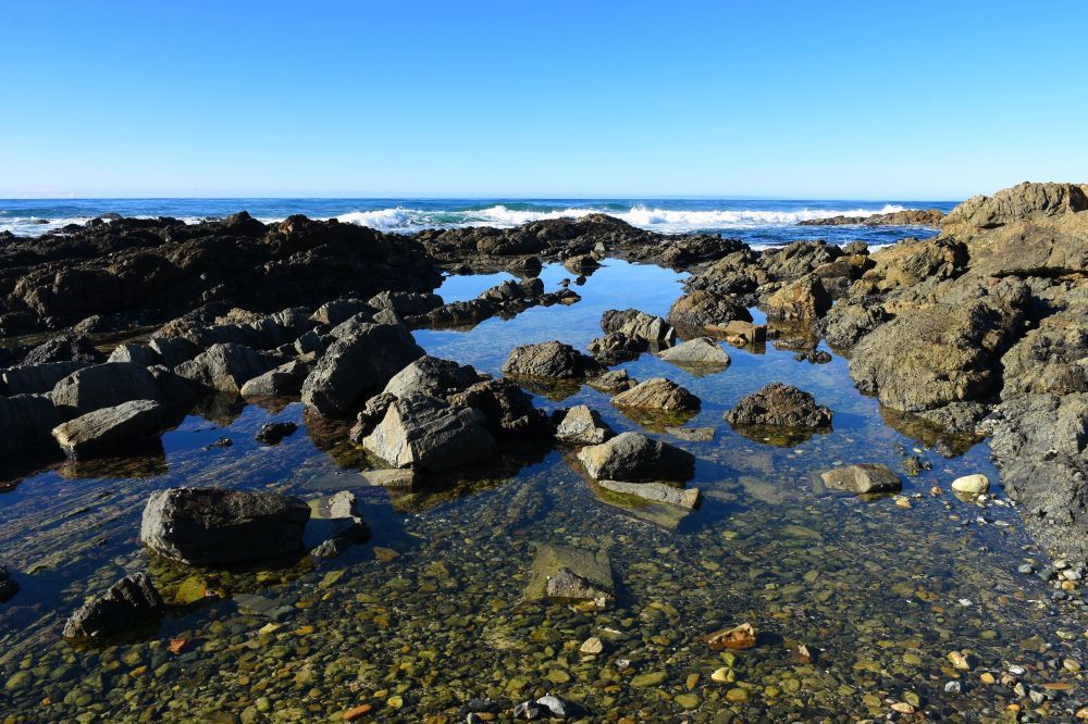 A Rocky Shoreline With a Body of Water — CTE Systems In Hallidays Point, NSW