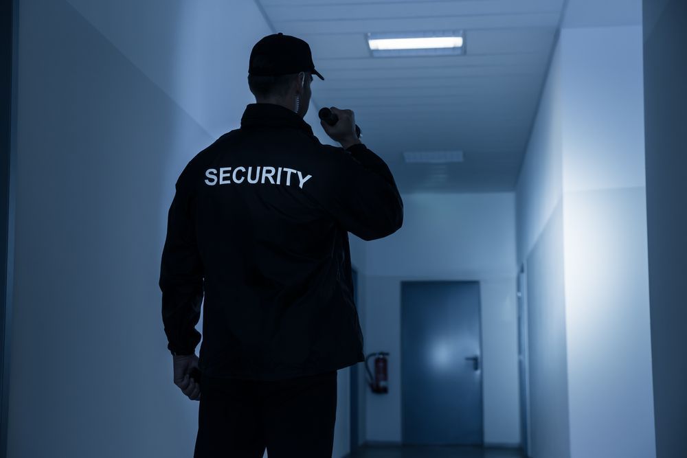 A Security Guard Watches Over a Hallway — CTE Systems In Tuncurry, NSW