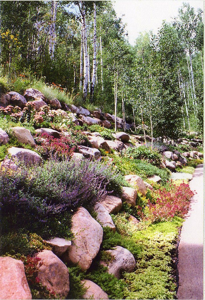 Landscape Design with Huge Rocks — Berthoud, CO — Rocky Mountain  Environmental Construction